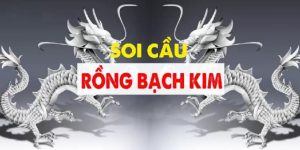 Cách thực hiện soi cầu Rồng bạch kim 666 tại S66